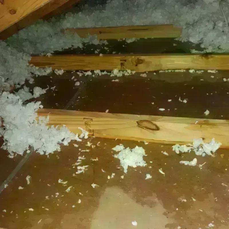 Attic Water Damage in Payne County, OK