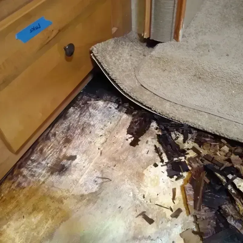 Wood Floor Water Damage in Payne County, OK